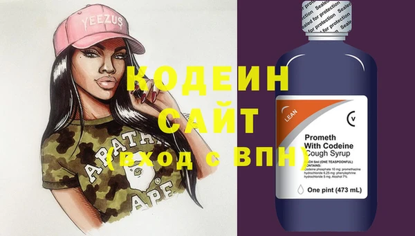 крисы Инта