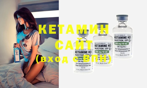 крисы Инта