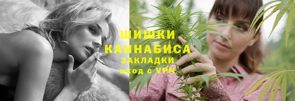 крисы Инта