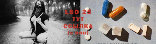 крисы Инта