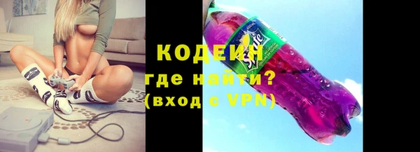 крисы Инта