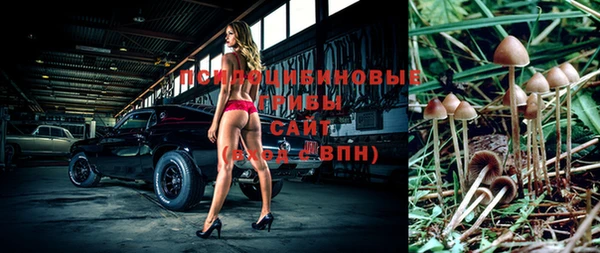 прущий лед Наволоки