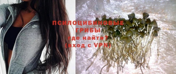 МДПВ Михайловка