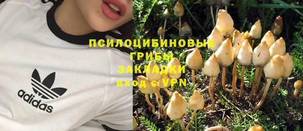 молекула духа Инсар