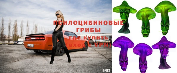 МДПВ Михайлов