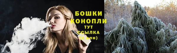 крисы Инта