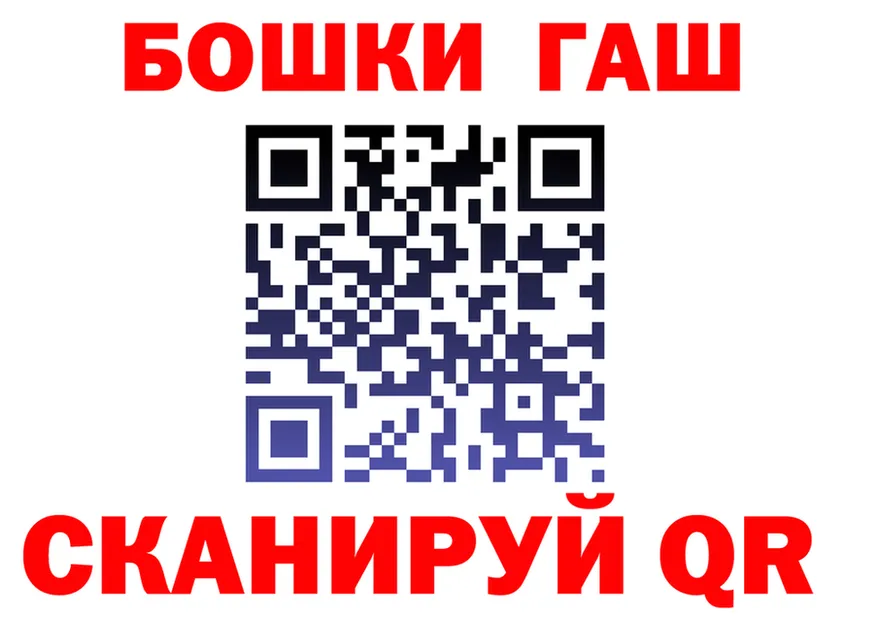 ГАШ Premium зеркало площадка гидра Красавино